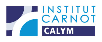 Institut Carnot CALYM